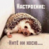 Ирина Гречишкина